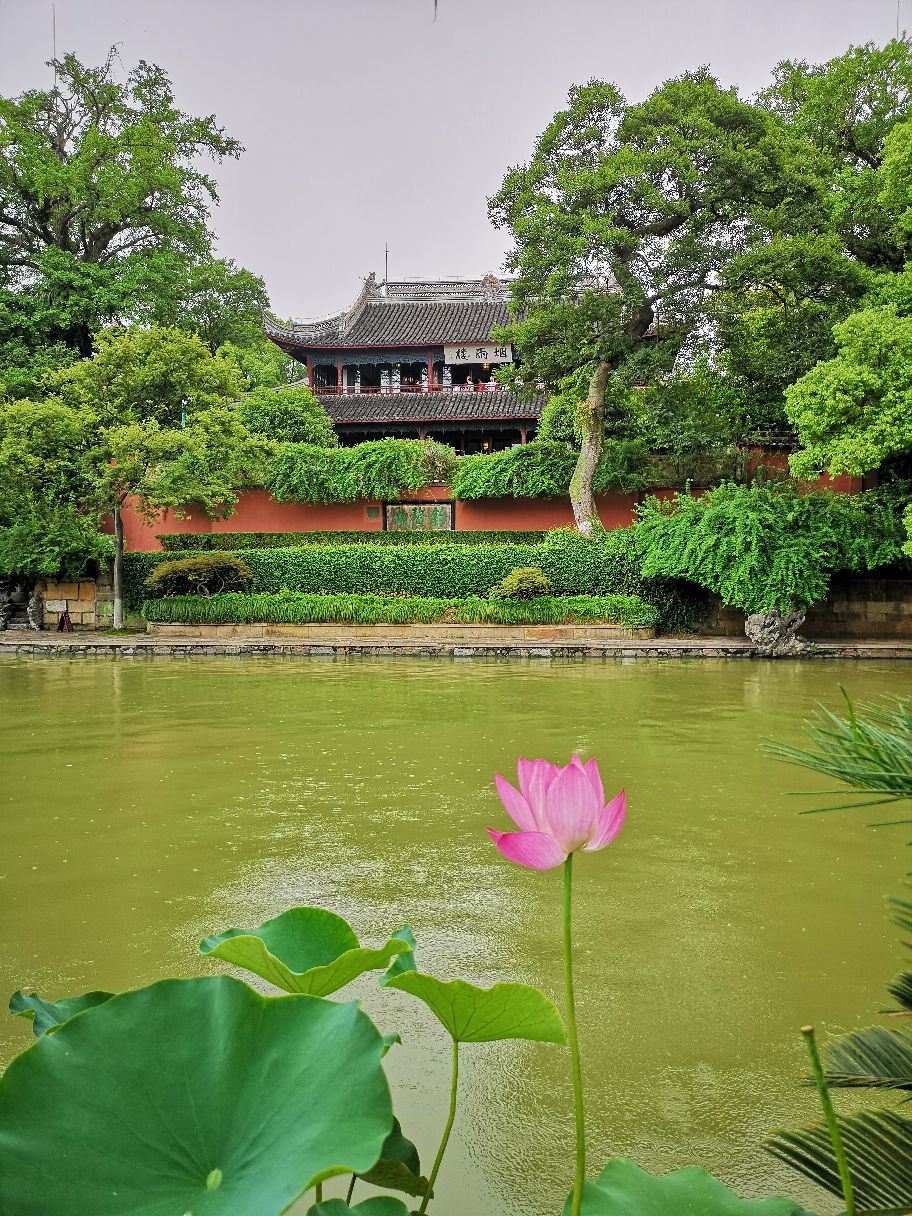 2019烟雨楼_旅游攻略_门票_地址_游记点评,嘉兴旅游