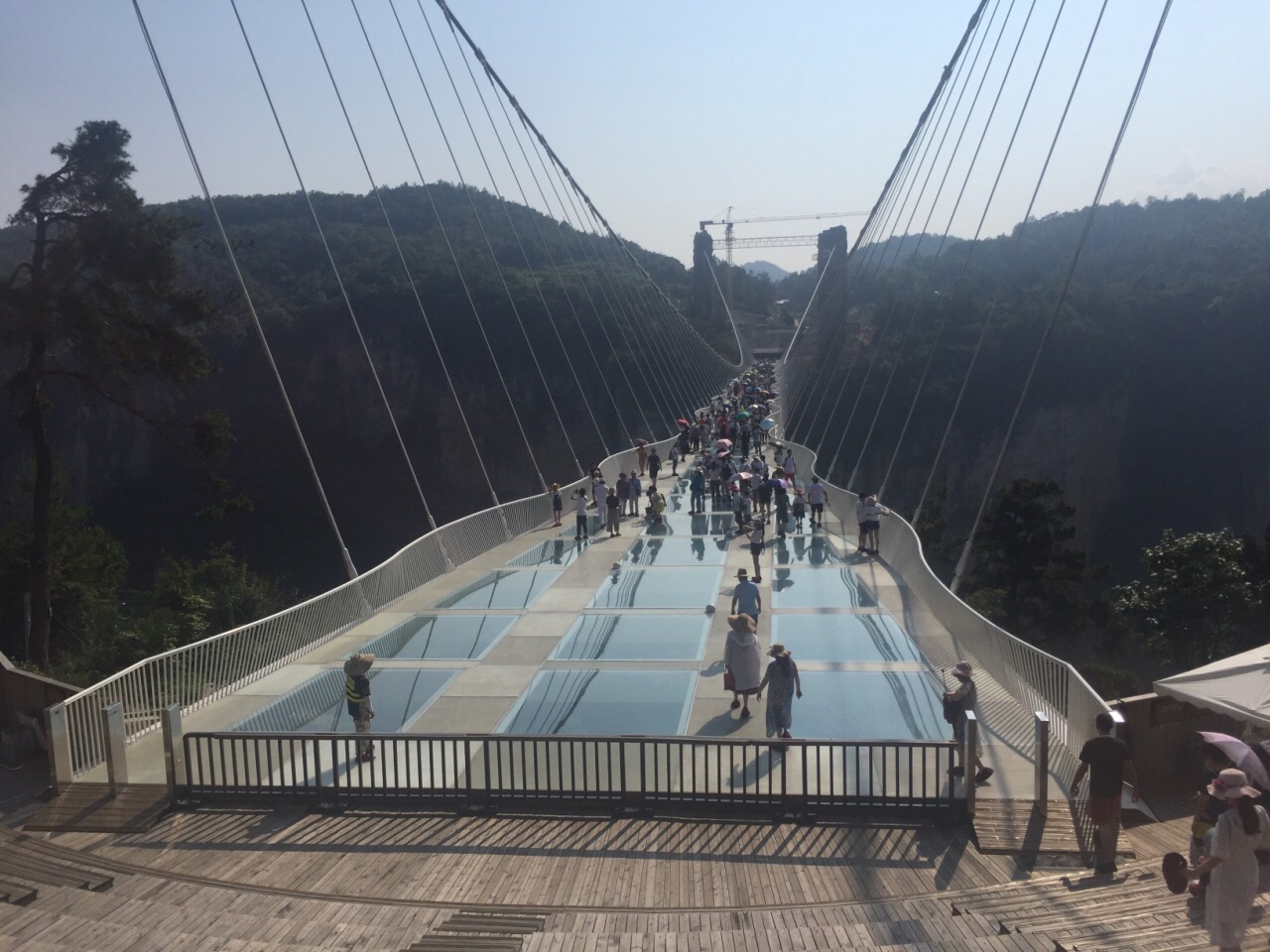 张家界大峡谷玻璃桥旅游景点攻略图