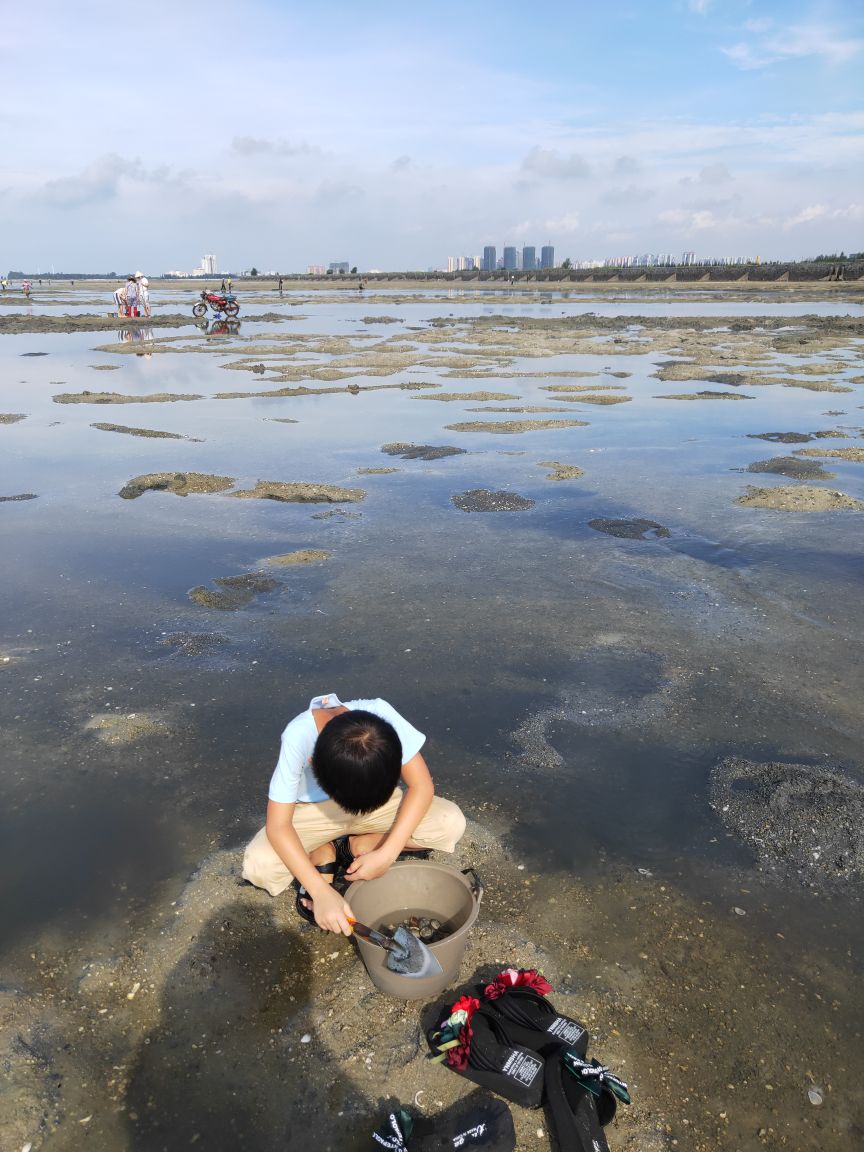 北海红树林天天赶海好玩吗,北海红树林天天赶海景点样