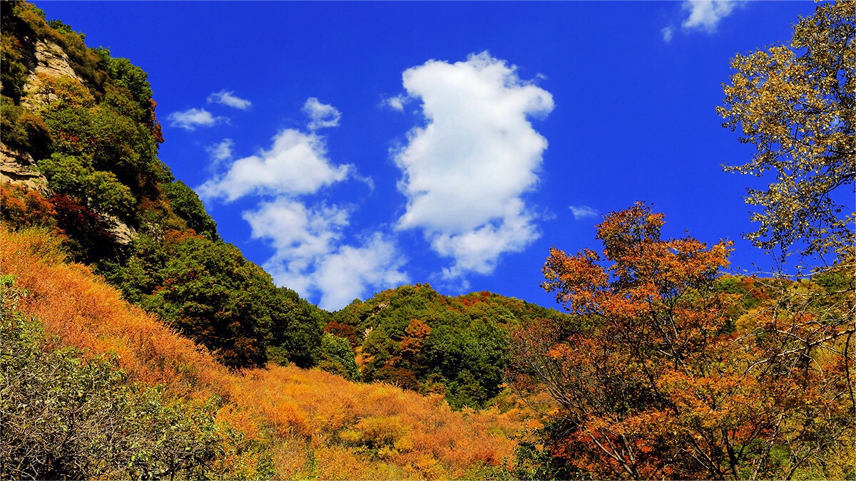 驼梁风景区