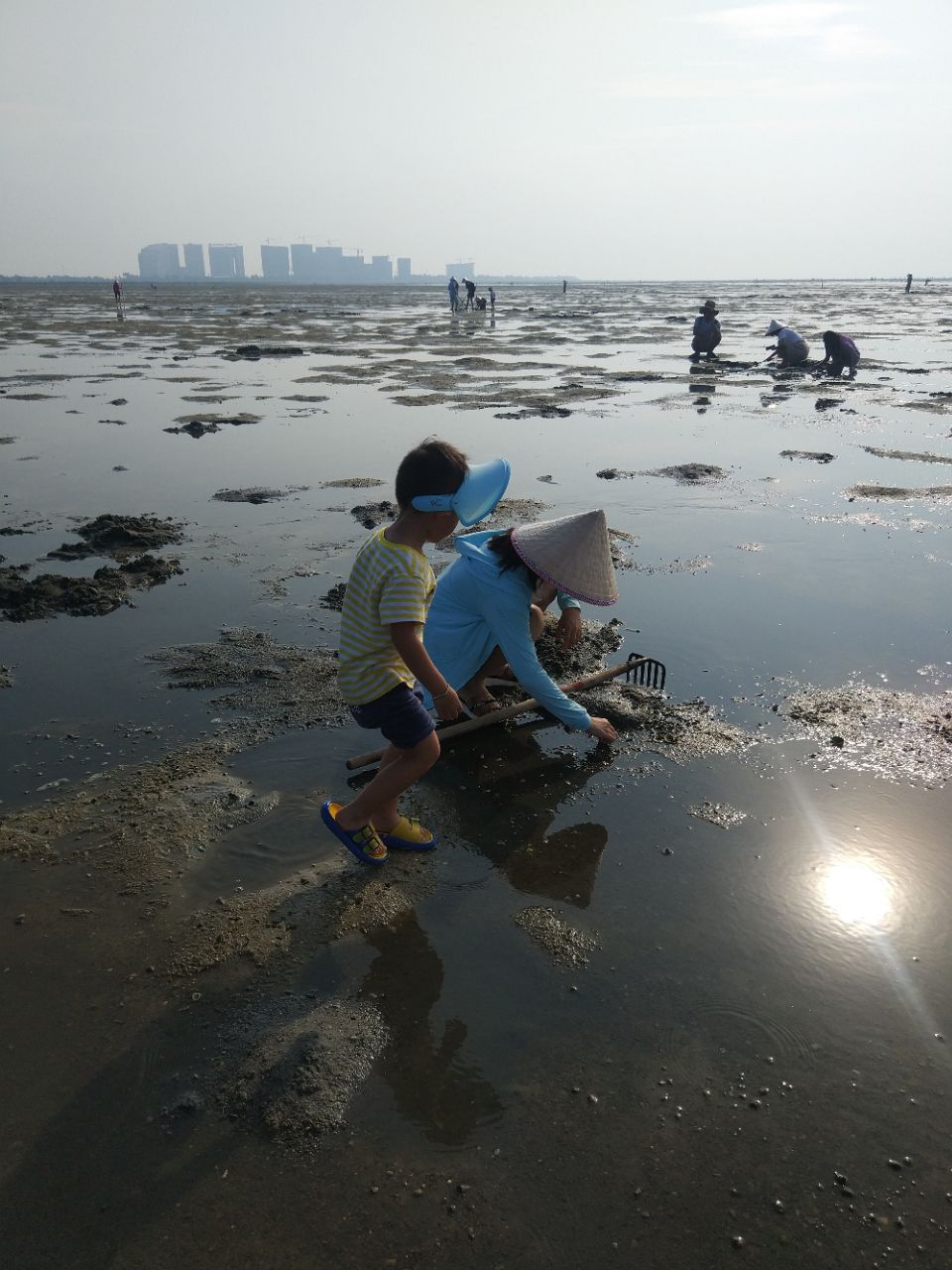 红树林天天赶海