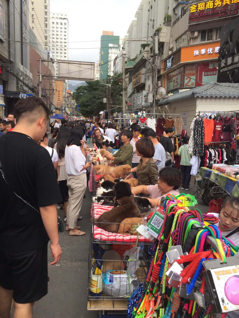 兰州张掖路步行街怎么样/如何去,张掖路步行街购物好