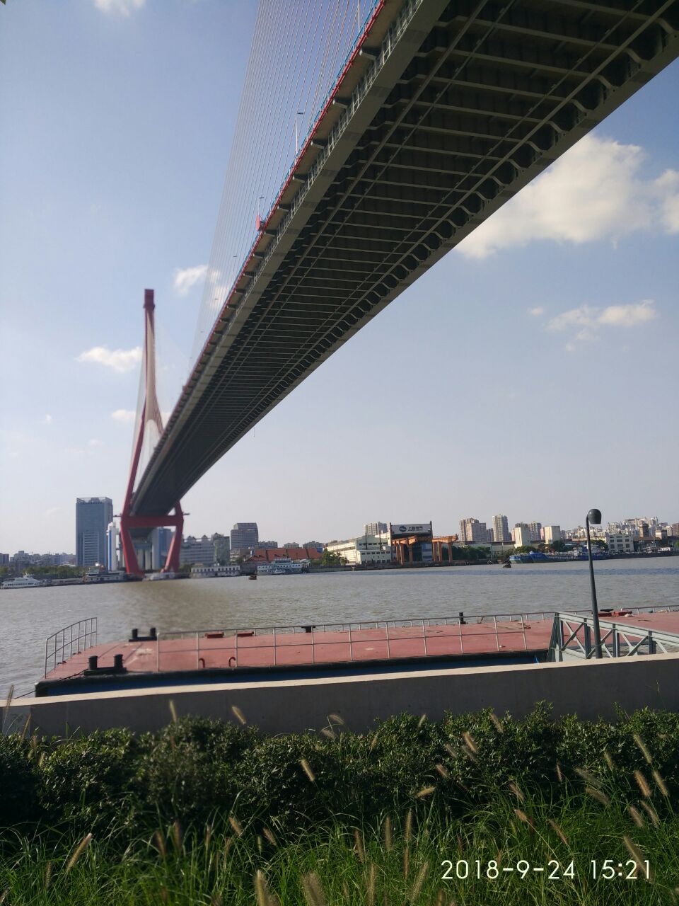 2022杨浦大桥游玩攻略,上海地标之一,桥下滨江很漂【去哪儿攻略】