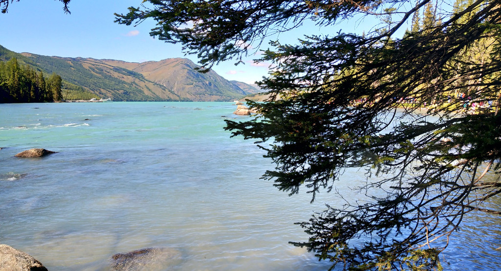 绿蛇缠绕梦，探索潜意识中的隐秘信号与心理解析