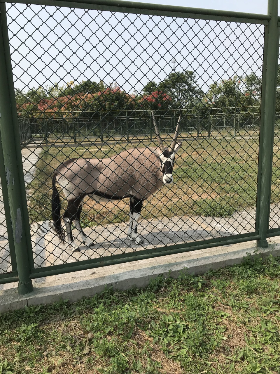 运河湾森林动物园