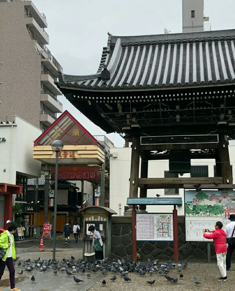 2019大须观音寺_旅游攻略_门票_地址_游记点评,名古屋旅游景点推荐