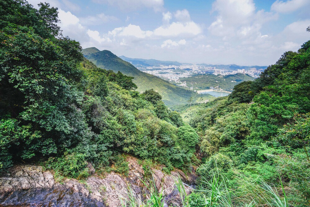 沿着佛光路一路上去会经过景点百鸟园,怡心亭,仙宫岭,八仙过海,感恩湖