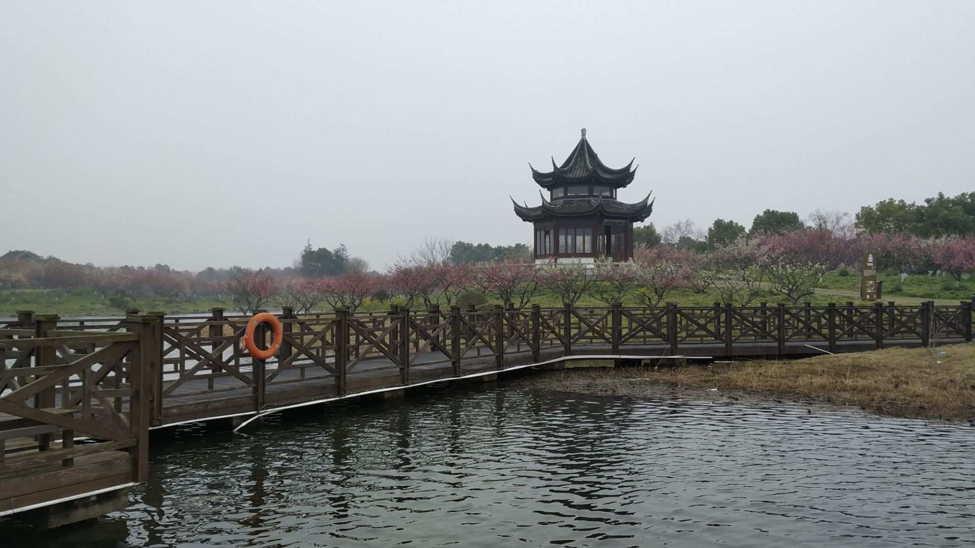 上海海湾国家森林公园