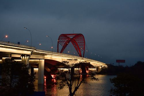 九龙江大桥   分