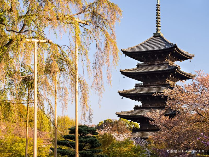 京都东寺攻略-东寺门票价格多少钱-团购票价预定优惠-景点地址图片