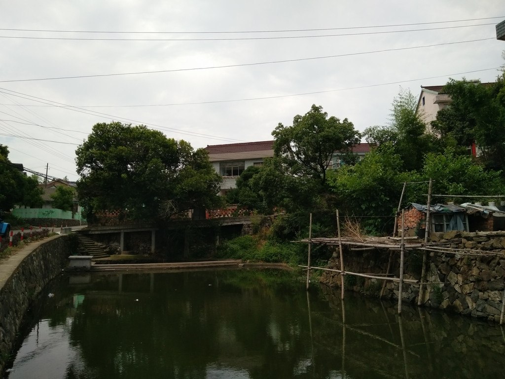 宁波余姚市—杨梅的季节:六月丈亭镇梅溪村行记