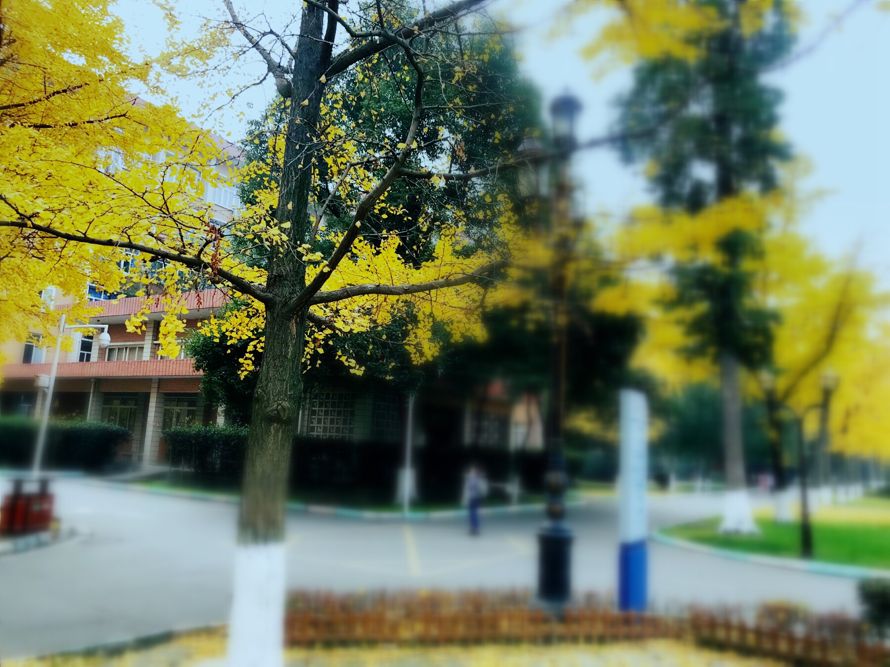 西南民族大学