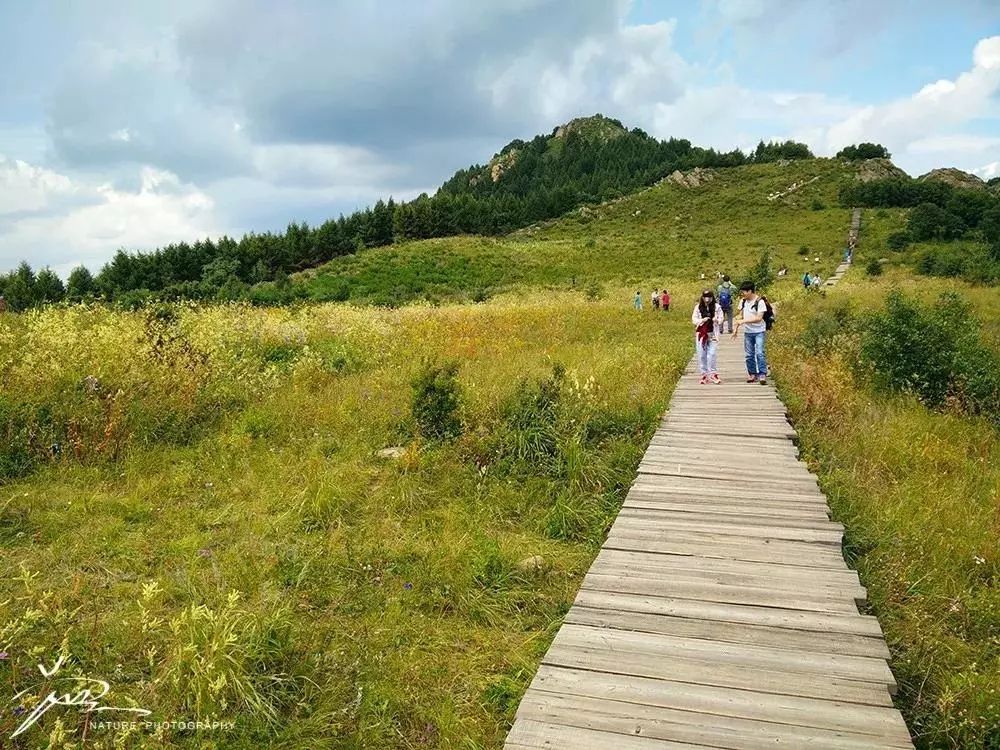 百花山自然保护区