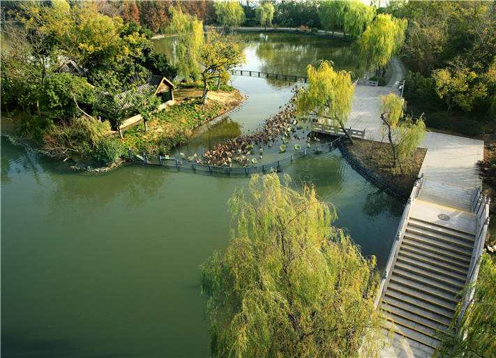 茱萸湾风景区旅游景点攻略图