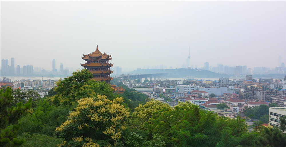 武汉武汉电视塔好玩吗,武汉武汉电视塔景点怎么样