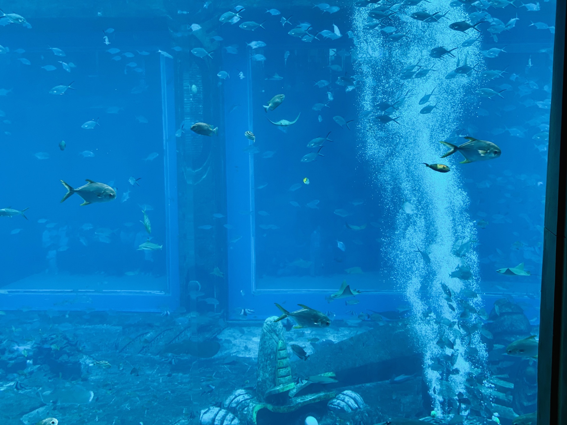 三亚亚特兰蒂斯失落的空间水族馆