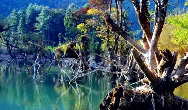 星斗山旅游景点攻略图