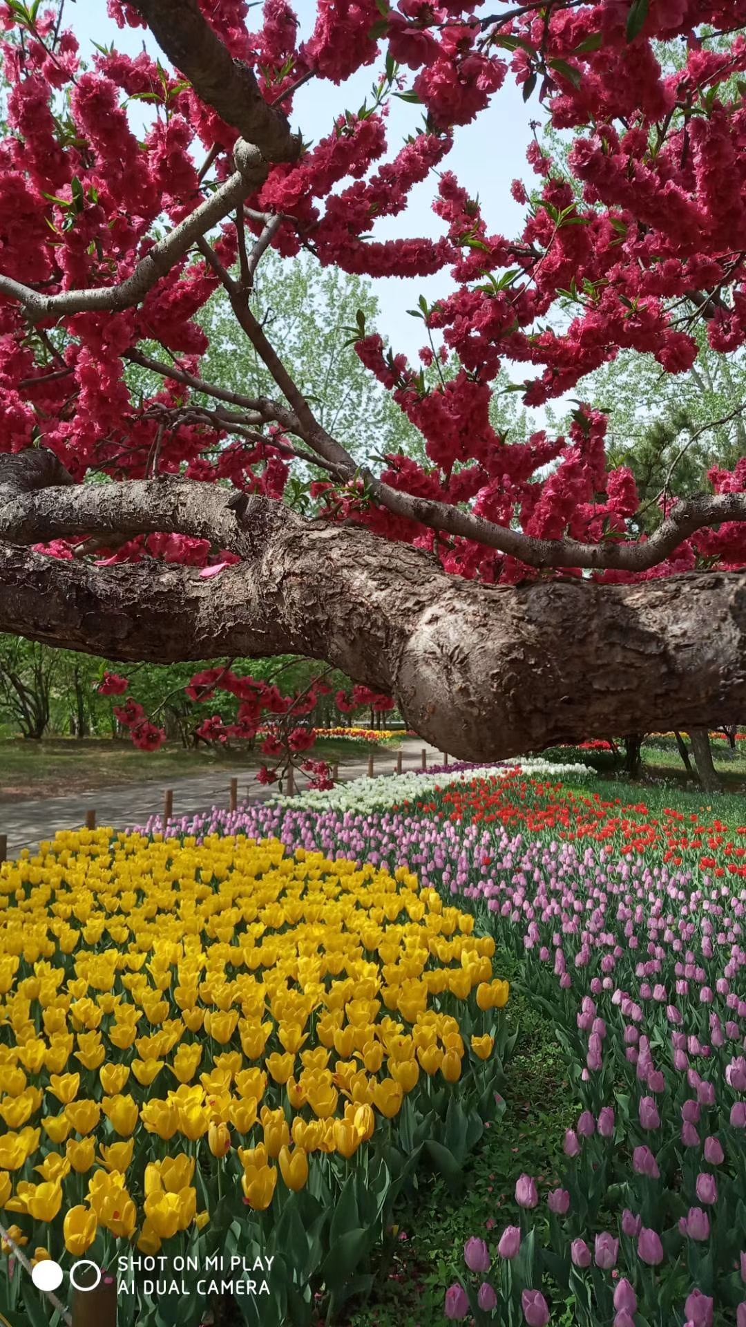 北京植物园