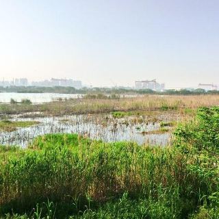 世业洲
