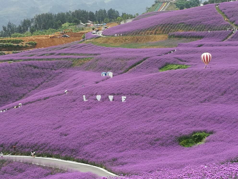 黔北花海