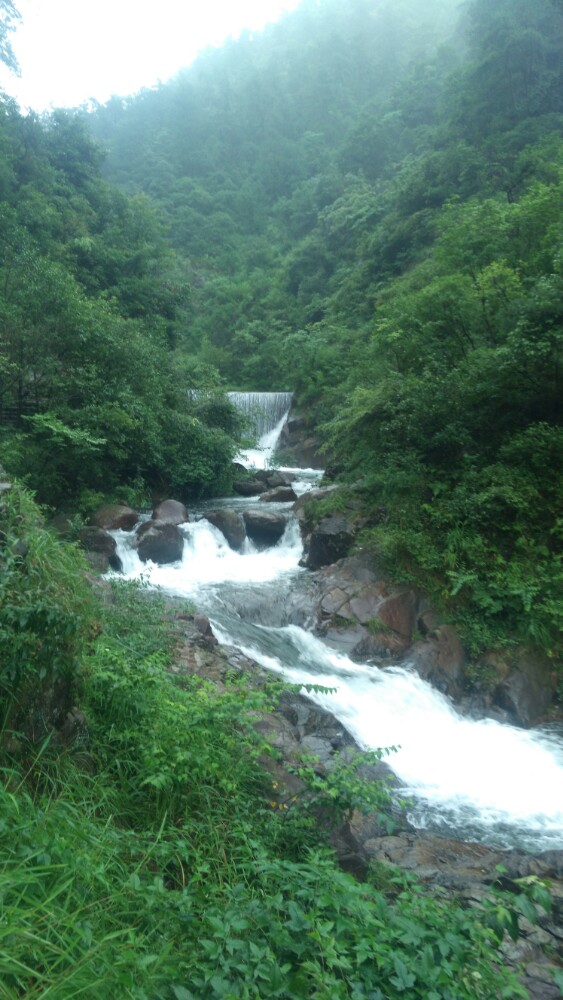 大奇山国家森林公园
