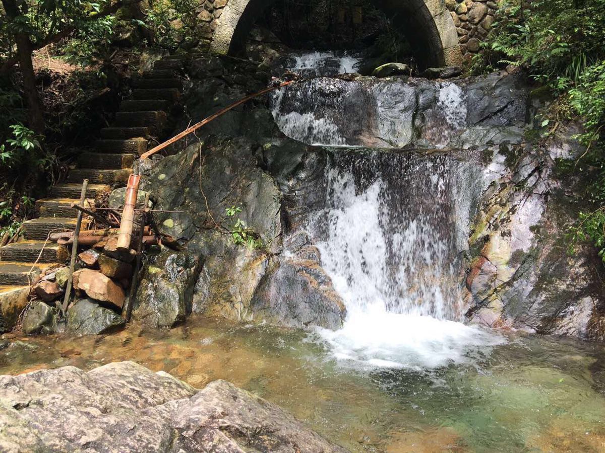 千岛湖森林氧吧旅游景点攻略图