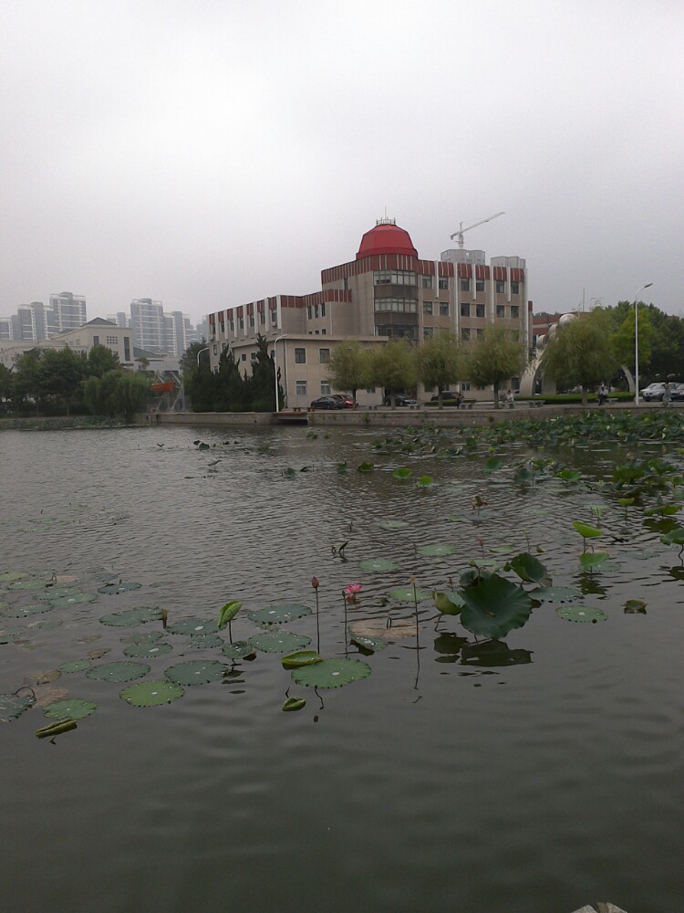 烟台大学