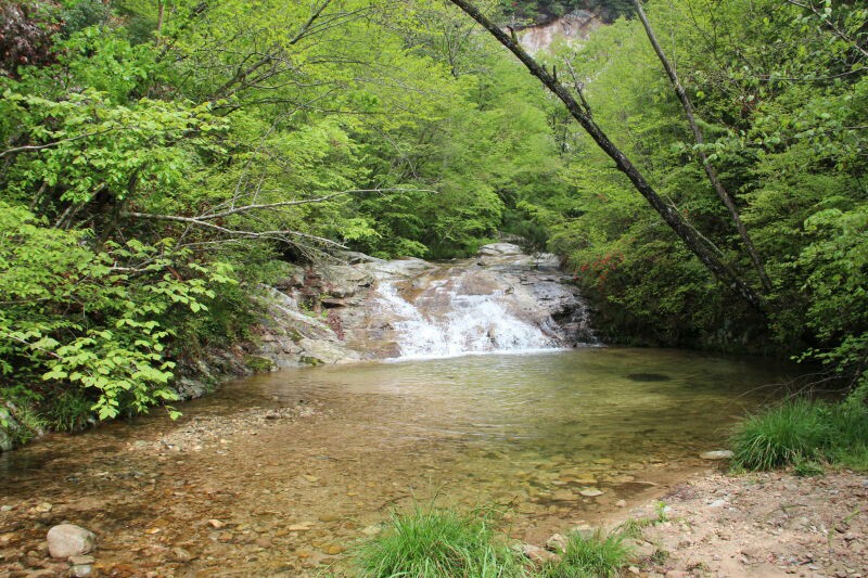 桃花冲森林公园