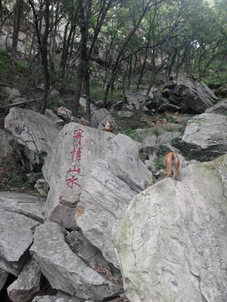 花果山旅游景点攻略图