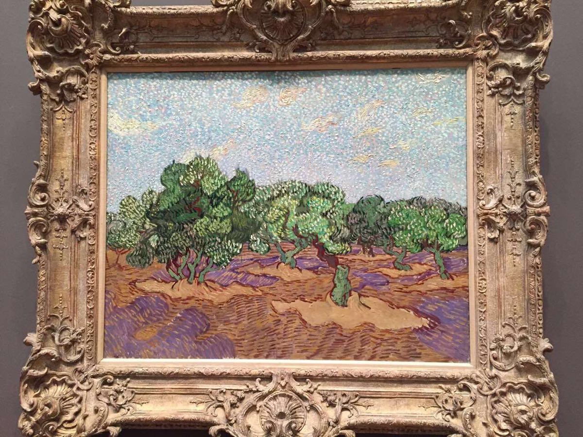 梵高美术馆图片