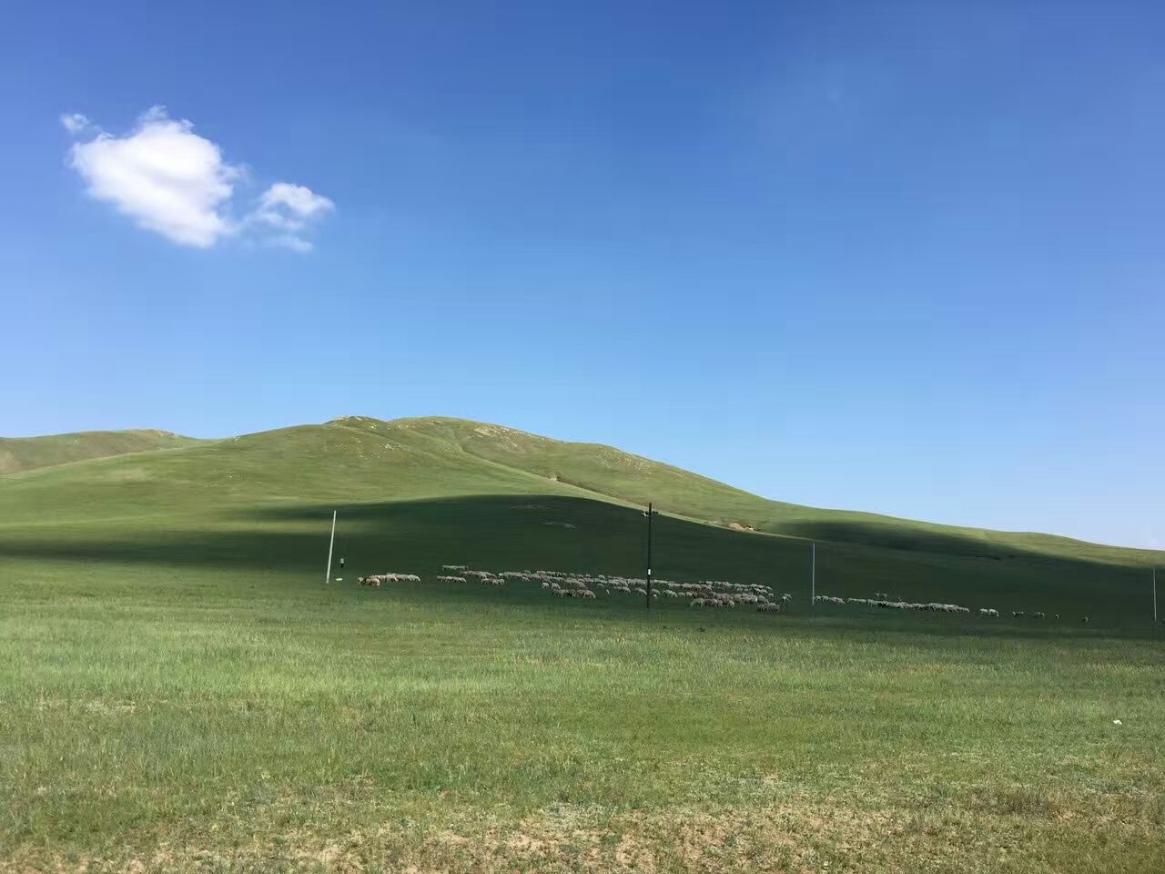 白音锡勒牧场景区