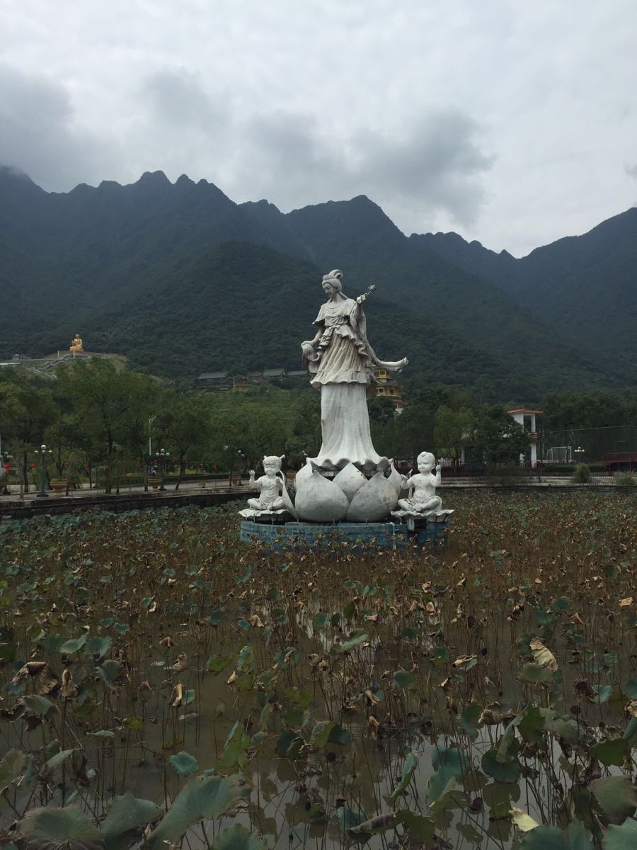 2018汕尾莲花山温泉度假区_旅游攻略_门票_地址_游记点评,海丰旅游