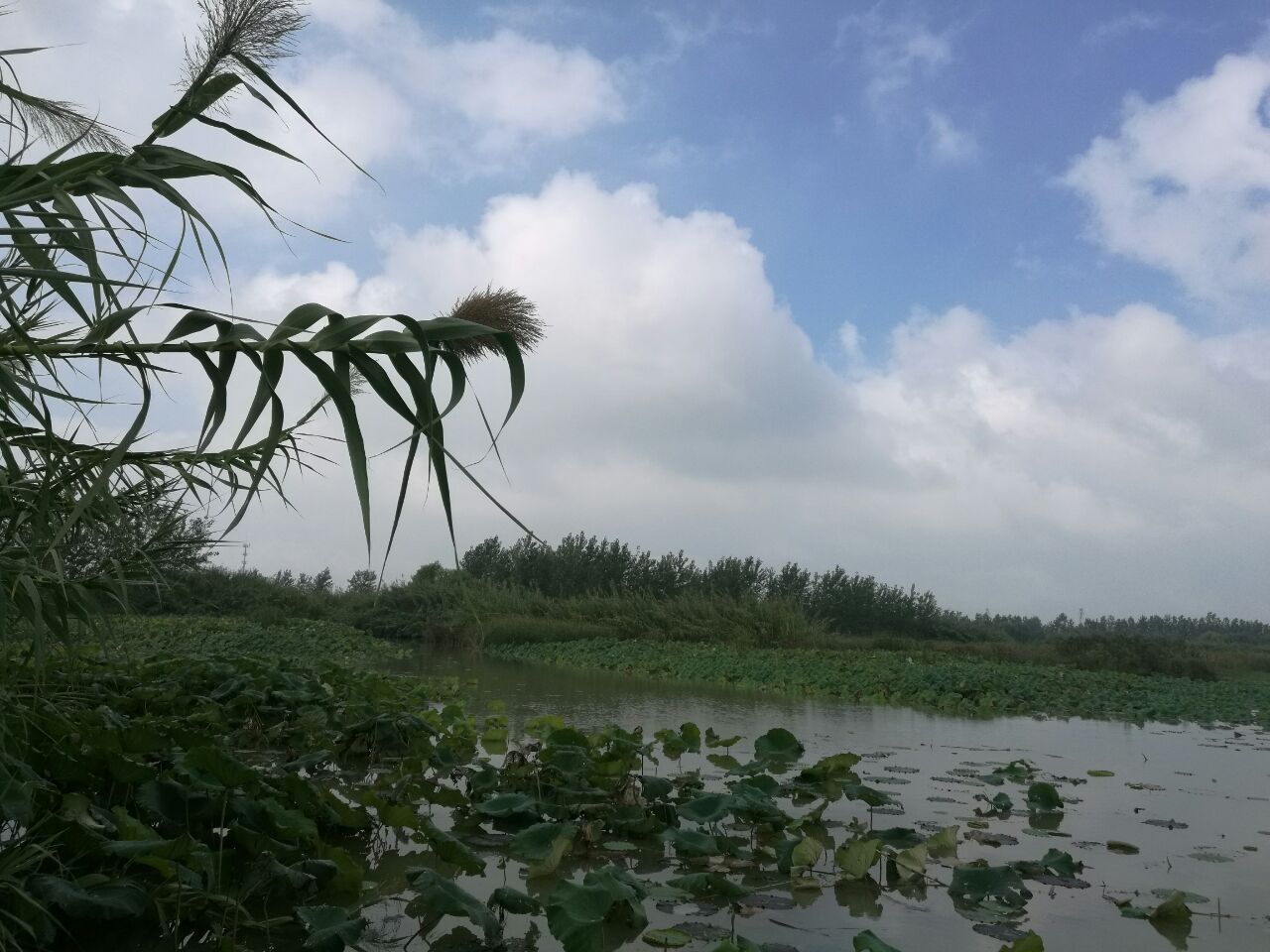 泗洪洪泽湖湿地旅游景点攻略图