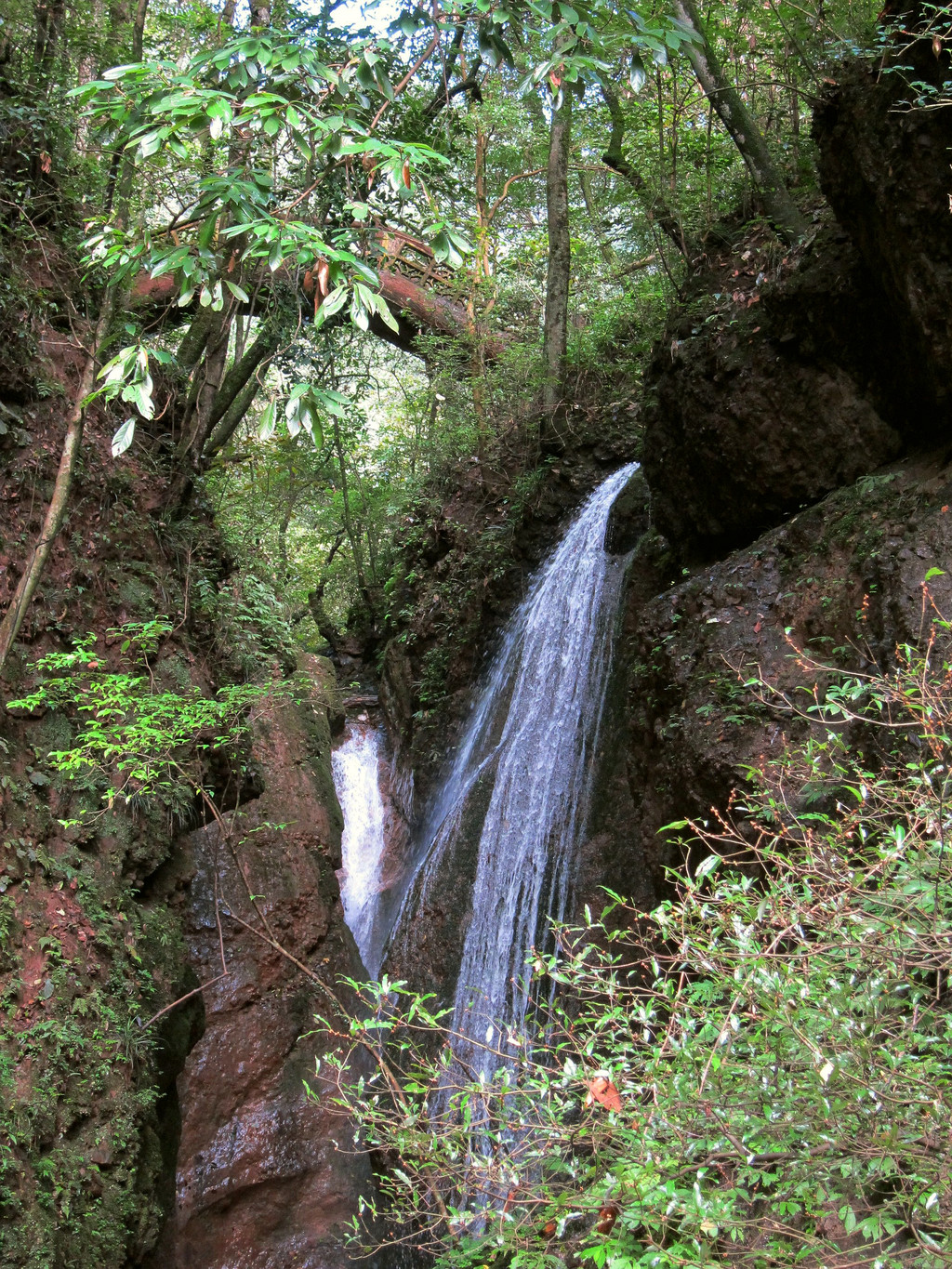 十天十夜九寨沟到成都沿线两城七大景区自助游记【成都周边四大景区