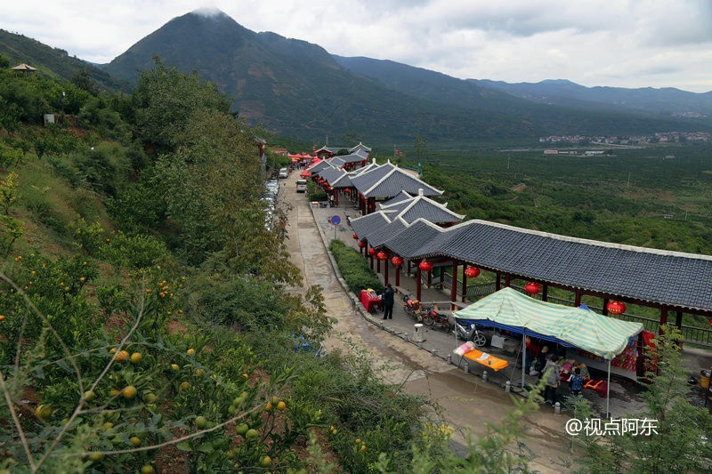 游城固赏美丽乡村风光 漫山桔子成最靓风景线