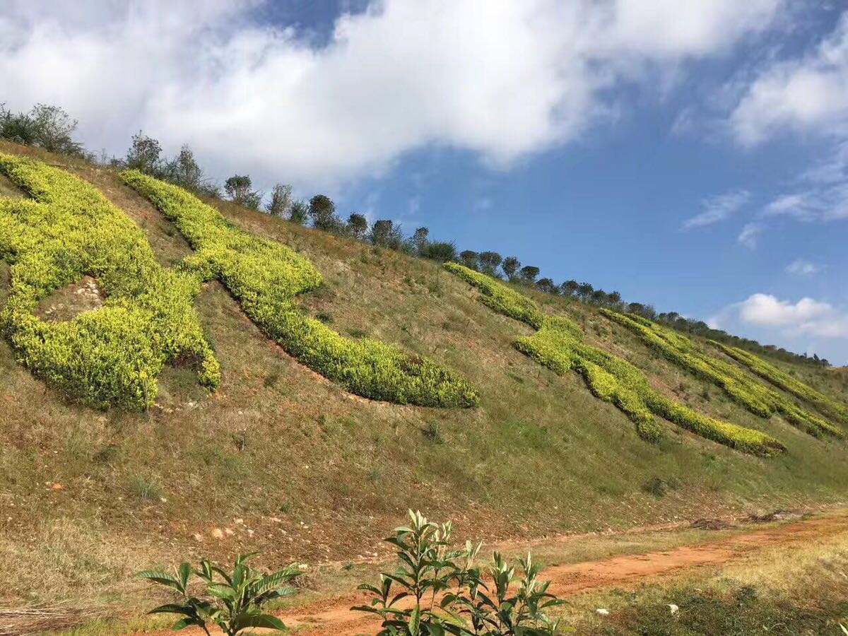 昆明长虫山生态公园好玩吗,昆明长虫山生态公园景点样