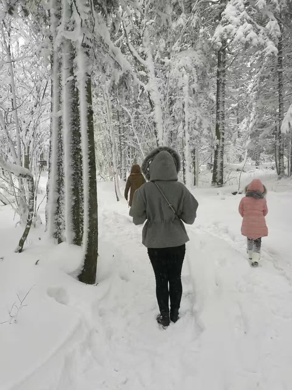 雪乡--哈尔滨一线雪景游,绝对不能错过!