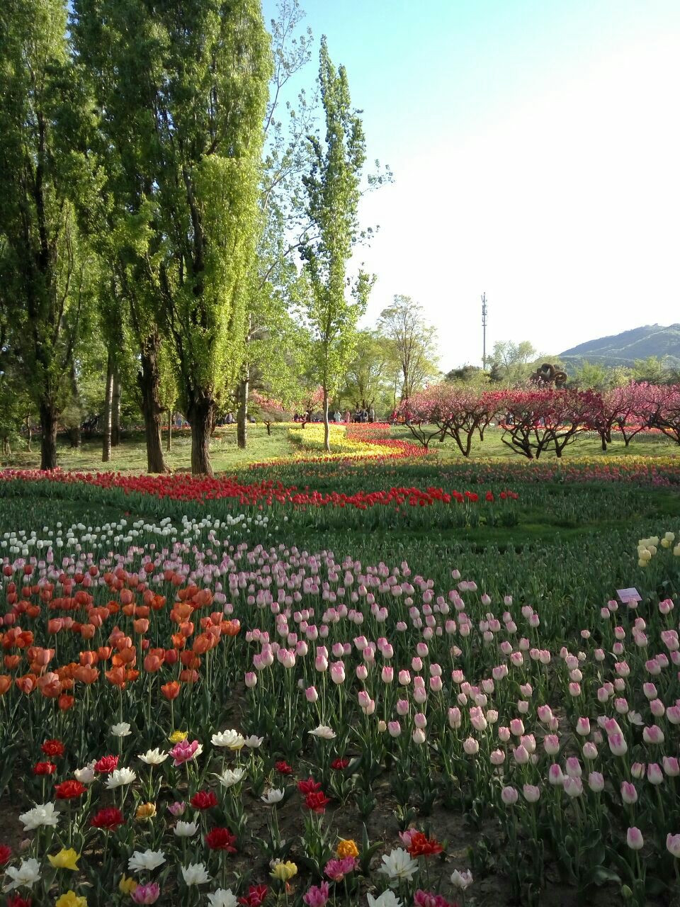 北京植物园