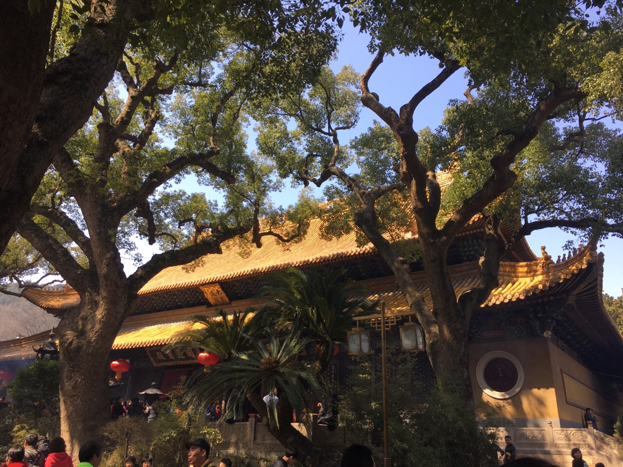 2019普济禅寺_旅游攻略_门票_地址_游记点评,普陀山