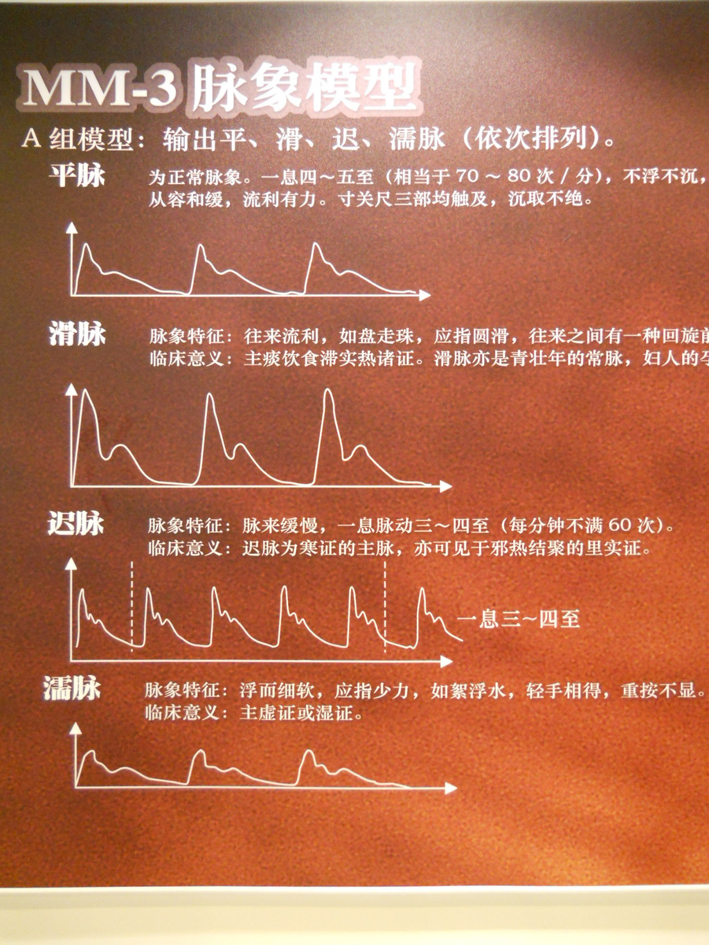 a组脉象模型