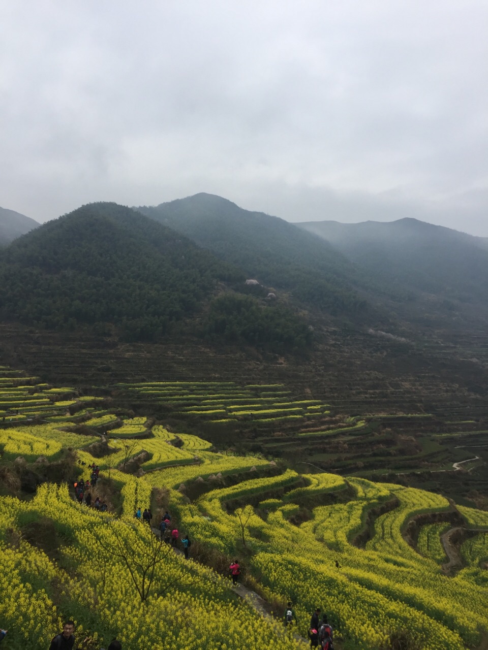 上虞区覆卮山景区攻略,上虞区覆卮山景区门票/游玩