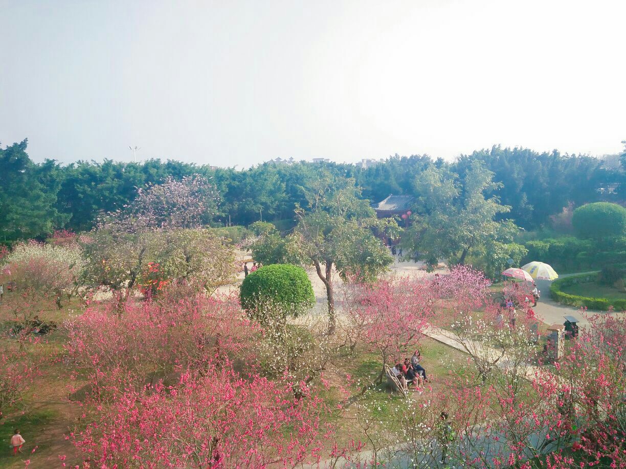 潮州凤凰洲公园好玩吗,潮州凤凰洲公园景点怎么样