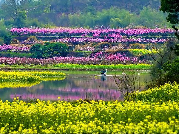 桃花坞