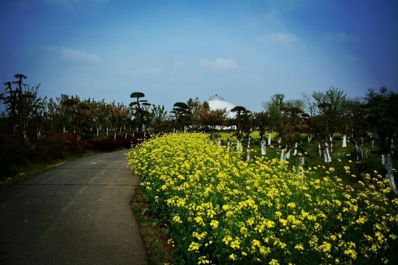 武汉紫薇都市田园好玩吗,武汉紫薇都市田园景点怎么样