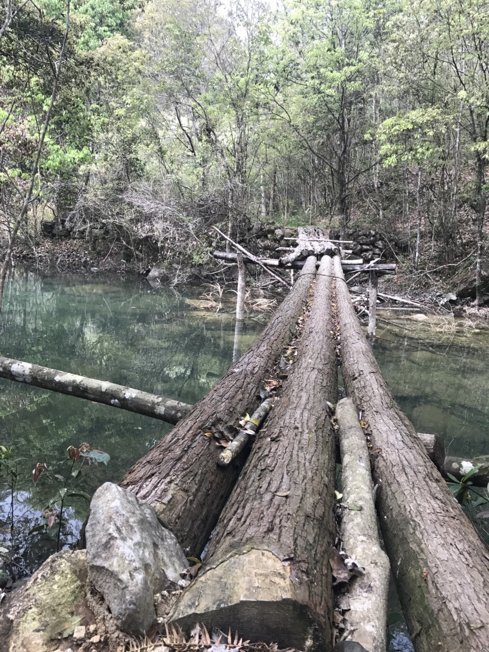 巾子峰森林公园