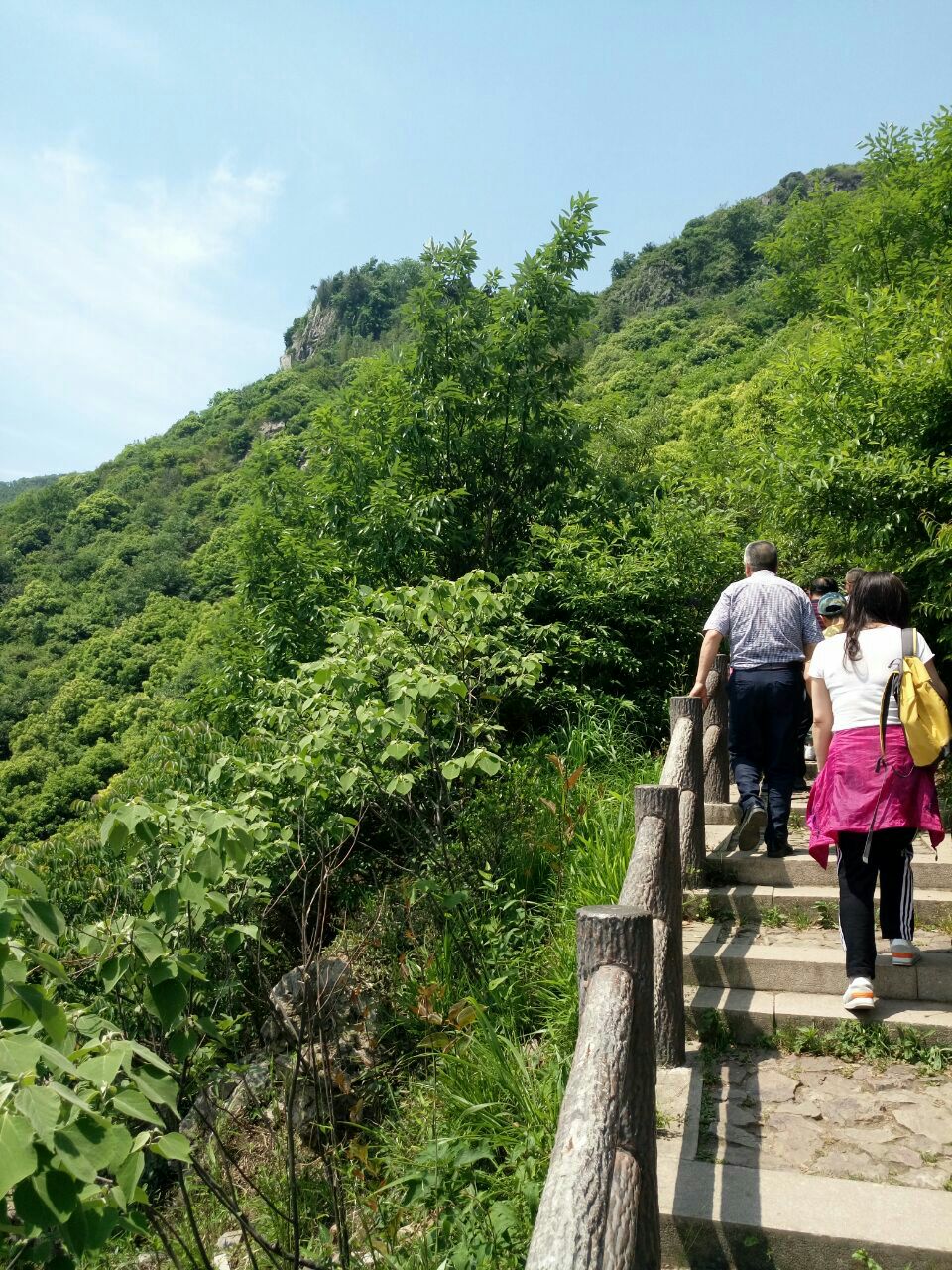 大阳山国家森林公园