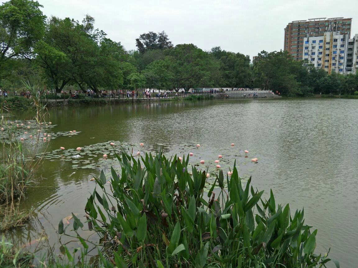 华南农业大学湿地公园