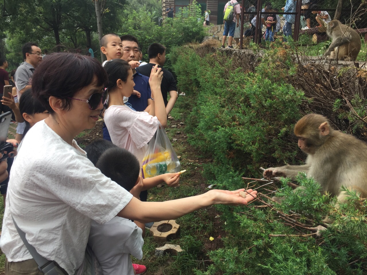 云台山猕猴谷好玩吗,云台山猕猴谷景点怎么样_点评_评价【携程攻略】