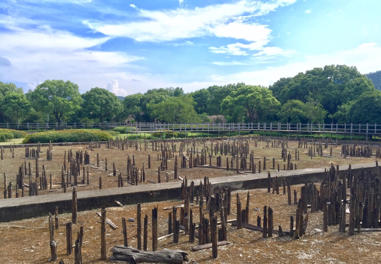 余姚河姆渡遗址博物馆好玩吗,余姚河姆渡遗址博物馆样