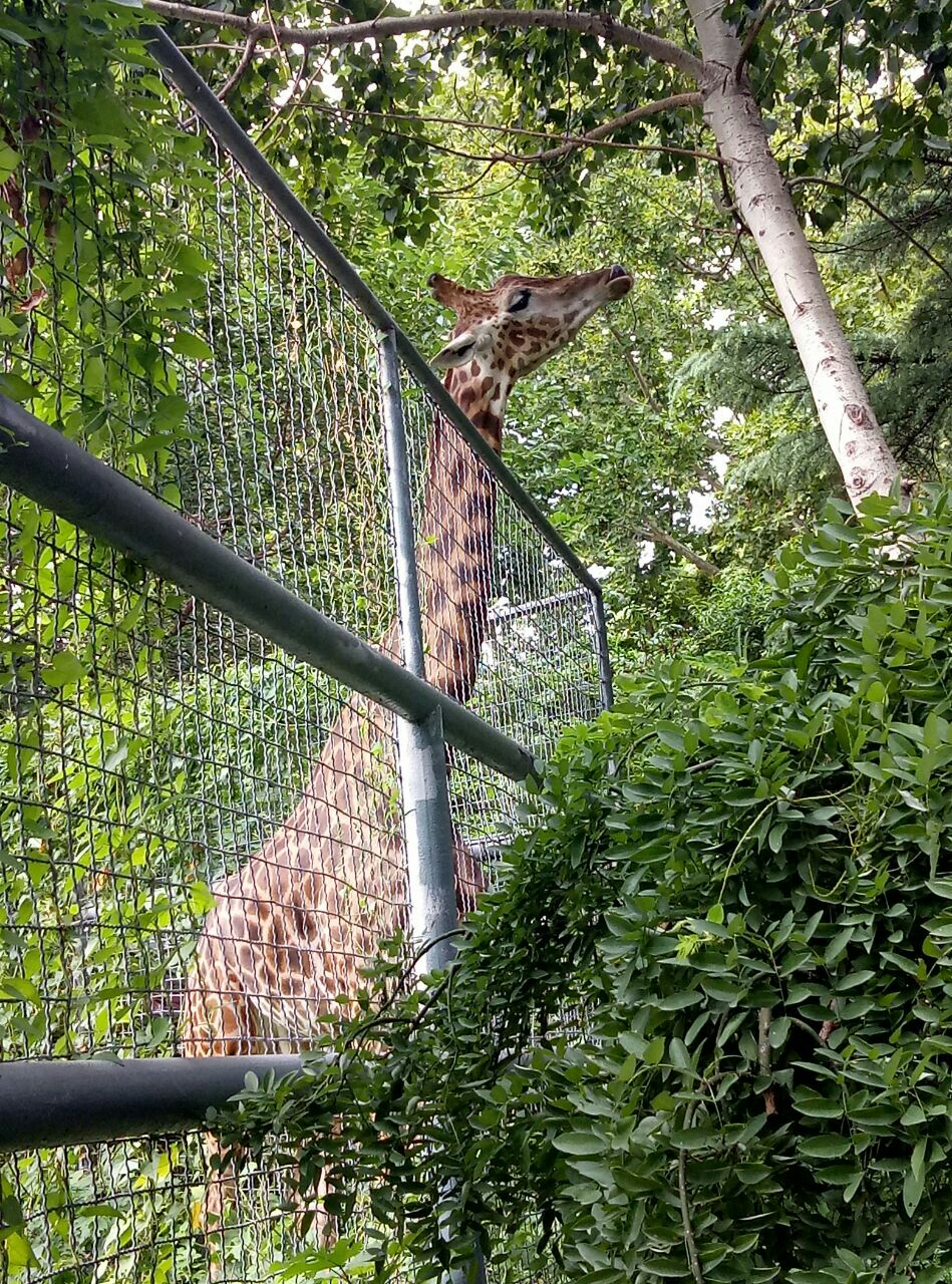 济南动物园jinan zoo